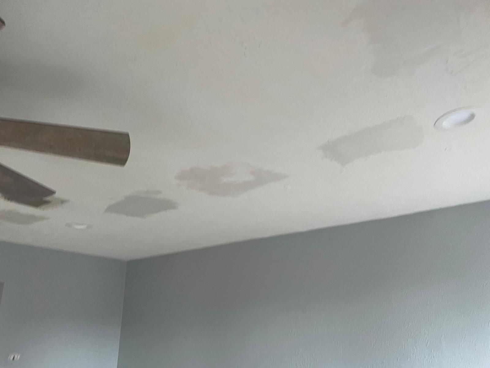 Interior Remodel French Doors construction photo 6